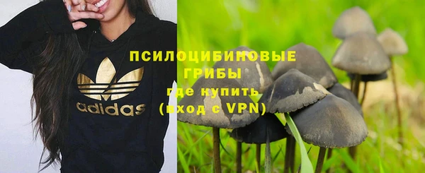 apvp Покачи