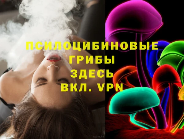 Альфа ПВП Пестово