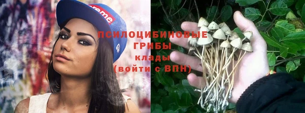 apvp Покачи