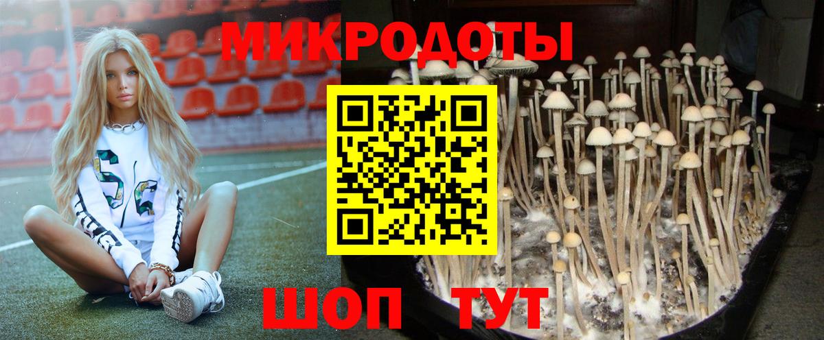 Псилоцибиновые грибы ЛСД Йошкар-Ола